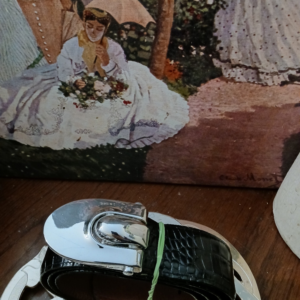 BRIAN TOOHEY 925 Sterling Silver Buckle Snake Embossed Leather Belt Large π π΄ - Picture 15 of 15